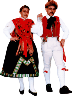 Heimat- und Volkstrachtenverein 1903 Würzburg e.V.